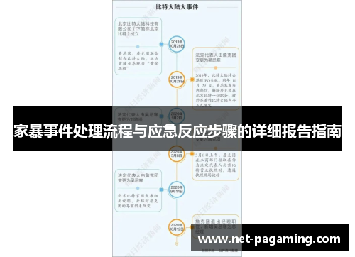 家暴事件处理流程与应急反应步骤的详细报告指南