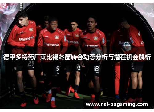 德甲多特药厂莱比锡冬窗转会动态分析与潜在机会解析