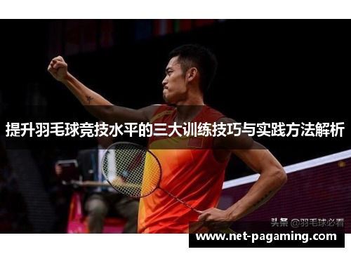 提升羽毛球竞技水平的三大训练技巧与实践方法解析