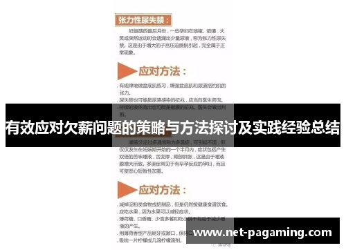 有效应对欠薪问题的策略与方法探讨及实践经验总结