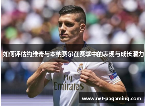 如何评估约维奇与本纳赛尔在赛季中的表现与成长潜力