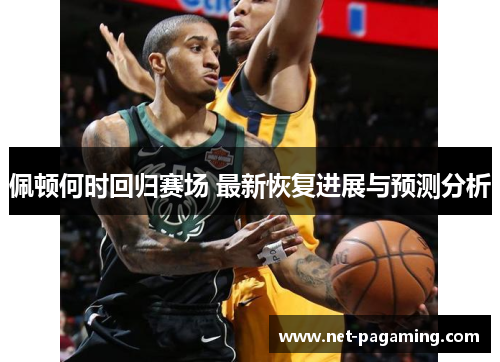 佩顿何时回归赛场 最新恢复进展与预测分析