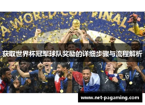 获取世界杯冠军球队奖励的详细步骤与流程解析