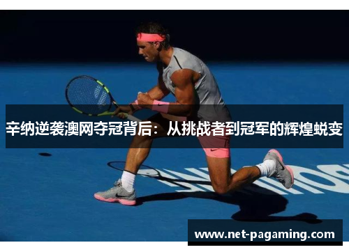 辛纳逆袭澳网夺冠背后：从挑战者到冠军的辉煌蜕变