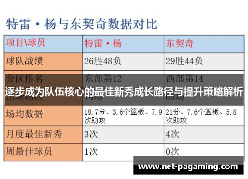 逐步成为队伍核心的最佳新秀成长路径与提升策略解析