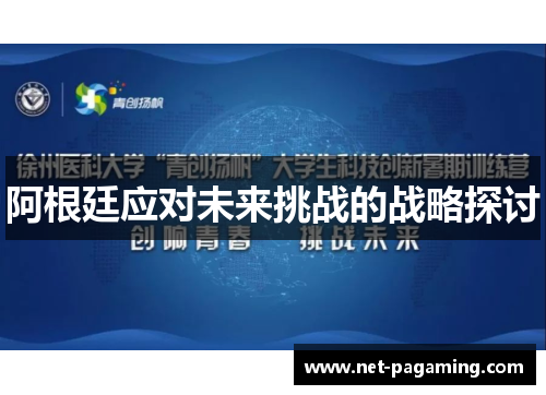 阿根廷应对未来挑战的战略探讨