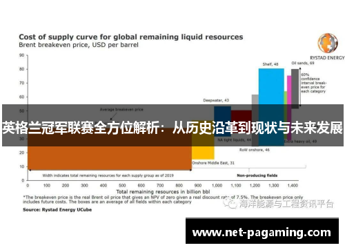 英格兰冠军联赛全方位解析：从历史沿革到现状与未来发展
