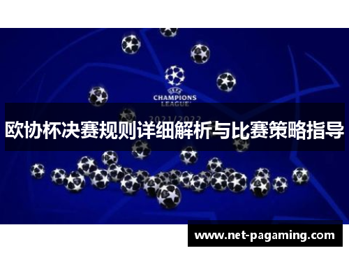 欧协杯决赛规则详细解析与比赛策略指导
