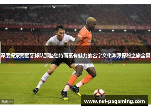 深度探索葡萄牙球队那些独特而富有魅力的名字文化渊源探秘之旅全景