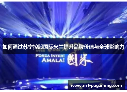 如何通过苏宁控股国际米兰提升品牌价值与全球影响力 如何通过苏宁控股国际米兰提升品牌价值与全球影响力