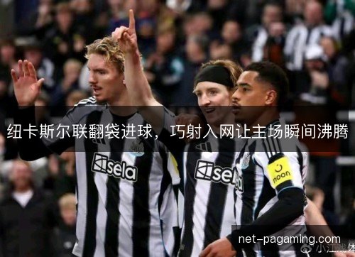 纽卡斯尔联翻袋进球,巧射入网让主场瞬间沸腾 纽卡斯尔联翻袋进球,巧射入网让主场瞬间沸腾