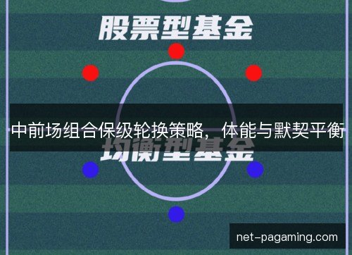 中前场组合保级轮换策略，体能与默契平衡